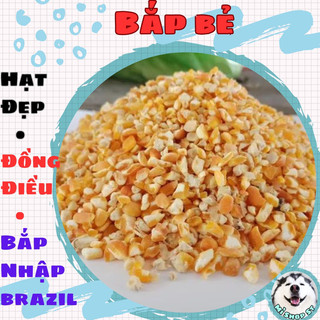 Bắp xay, bắp bể cho gà đá, chim cu gáy, chuột hamster