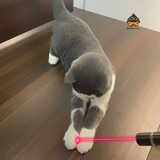 Đèn pin laser 3 chế độ thay đổi màu sắc đèn pin đồ chơi cho mèo sạc usb nhỏ gọn tiện lợi MM0038
