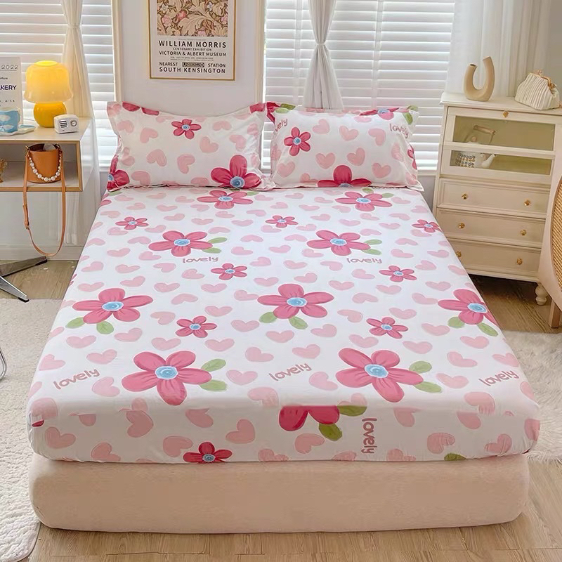 Set ga gối cotton lụa - gối size 48*74cm
