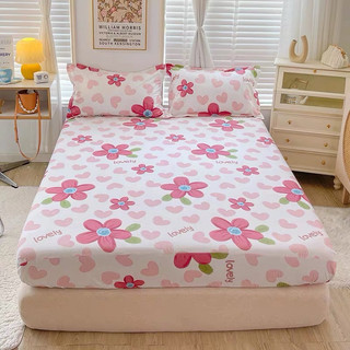 Set ga gối cotton lụa - gối size 48*74cm