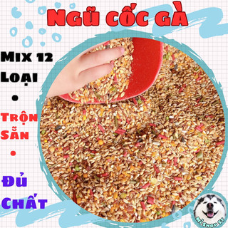 Ngũ cốc gà đá gà chọi giá rẻ, thức ăn chiến kê túi 1kg giúp tăng bo nhanh dùng cho gà nòi gà che gà chọi
