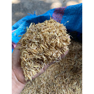 vỏ trấu khô (1kg)