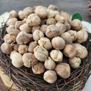 Bạch đậu khấu