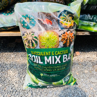 Đất trồng sen đá, xương rồng Soilmix