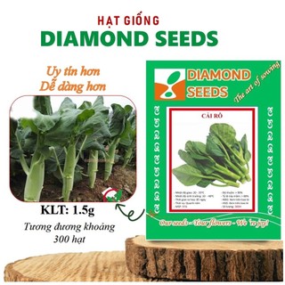 Hạt giống Rau Cải Rổ Rau cải nảy mầm tốt, sinh trưởng khỏe, trồng quanh năm