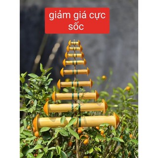 Sáo diều miệng gỗ giá rẻ giá học sinh