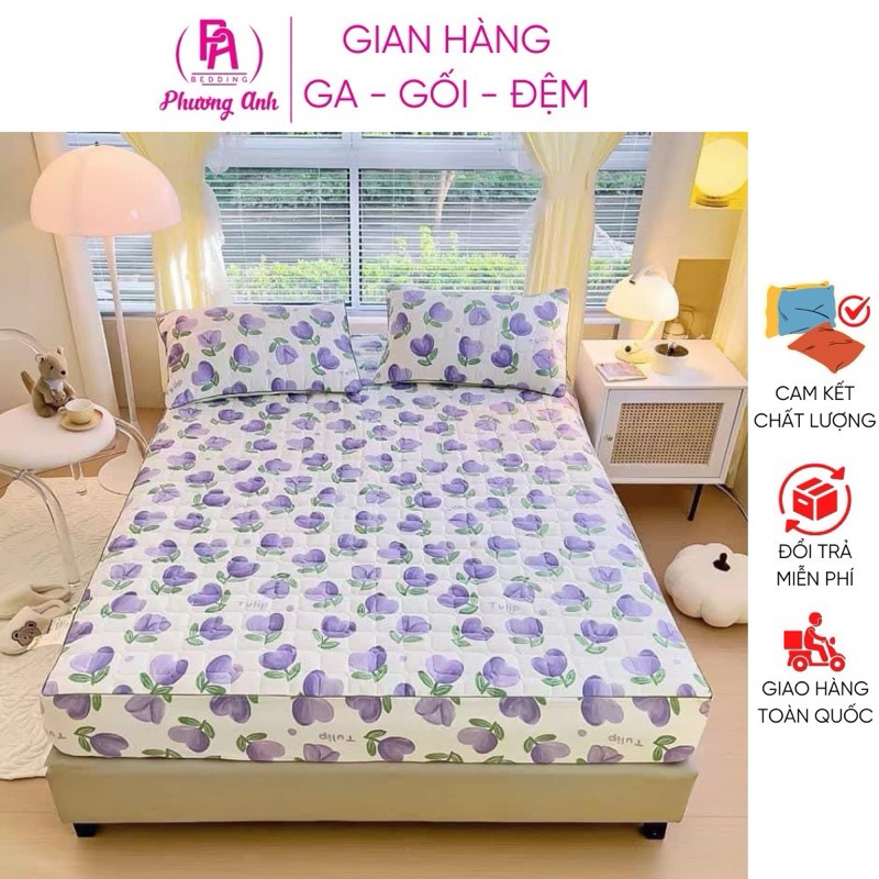 Bộ ga gối Cotton đũi xơ đậu nành, ga trải giường bo chun trần bông cao cấp, mềm mại, thoáng khí thấm hút mồ hôi