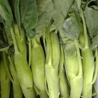 [Bán sỉ] - Hạt giống rau cải làn (cải rổ)