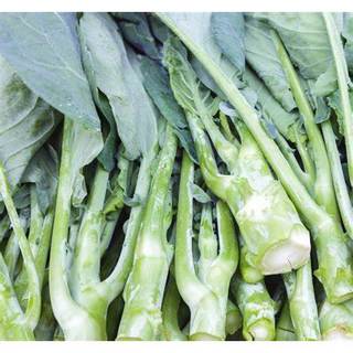 [Bán sỉ] - Hạt giống rau cải làn (cải rổ)