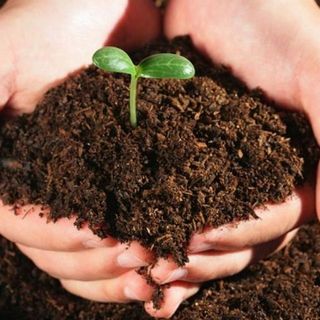 Đất trộn hữu cơ,pha trộn hoàn chỉnh,dinh dưỡng cao phù hợp mọi loại cây