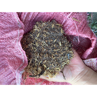 Đất trồng cây 1kg