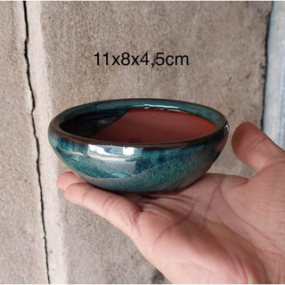 Chậu gốm mini trồng sen đá cây bonsai nhỏ
