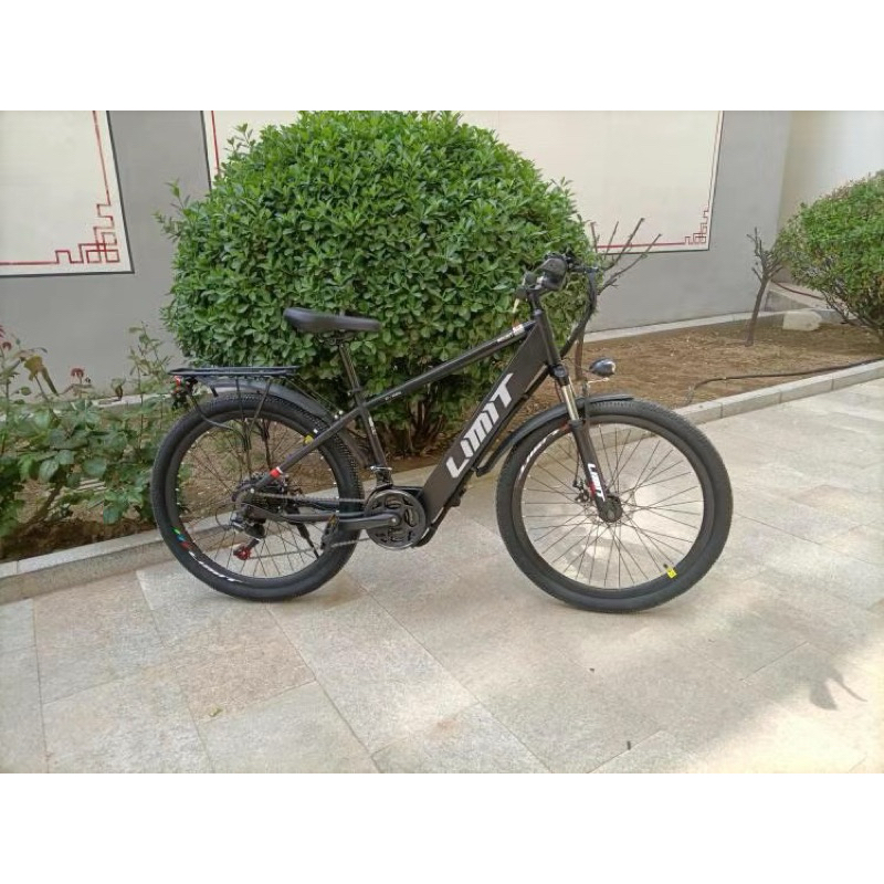 xe đạp trợ lực điện | BigBuy360 - bigbuy360.vn