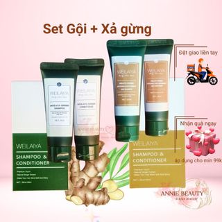 Cặp dầu gội, dầu xả gừng Weilaiya giảm gàu, giảm dầu, giảm gãy rụng và kích thích mọc tóc