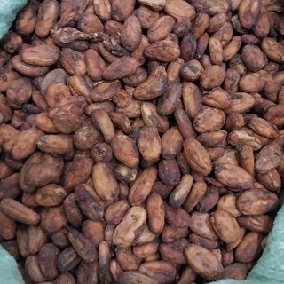 Hạt ca cao lên men khô, chưa rang 1kg