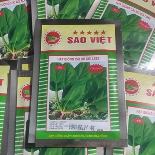 hạt giống CẢI BÓ XÔI ( cải bina, rau chân vịt) loại ngon
