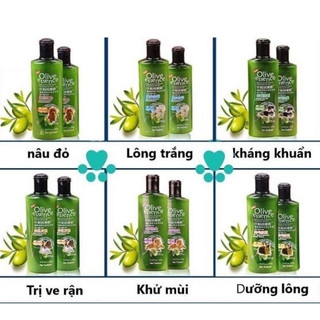 Sữa Tắm Olive Cho Chó Mèo, Cún, Thú Cưng