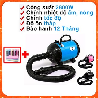 Máy Sấy Lông Chó Mèo 2800W New Model 2024 SN102 SN103 Thương Hiệu Shanghai Shenyue