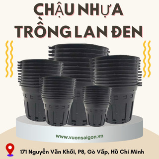 Chậu trồng lan phi 12 (1T2) thoáng khí, thoát nước tốt, chậu bền rẻ (Vườn Sài Gòn - Vuon Sai Gon)