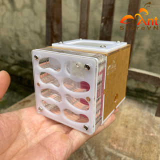 Tank Kiến Tank kiến tổ kiến mica cấp ẩm âm lưới inox nhà ở của kiến nest đứng mica 7x7x7 cm