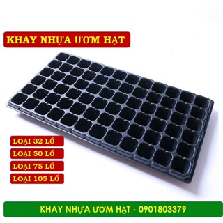 Khay Ươm, Vĩ Ươm Hạt Giống Loại Dày, Cỡ 32. 50, 72, 105 Lổ