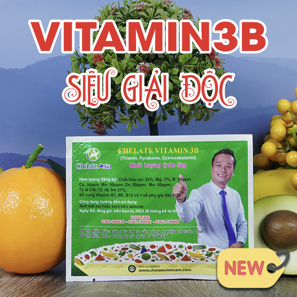 (EXTRAL POWDER) Vitamin 3B - Giải độc cây trồng, hoa lan, cây cảnh.. Vitamin 3B (B1, B6, B12) - (gói