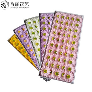 Hoa cúc đồng tiền sáp