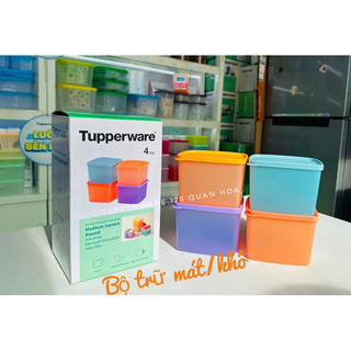 Bộ hộp trữ mát medium 650ml /840ml/ 1L, Hộp đựng thức ăn, Hộp bảo quản thực phẩm, Hộp nhựa nguyên sinh bảo hành trọn đời