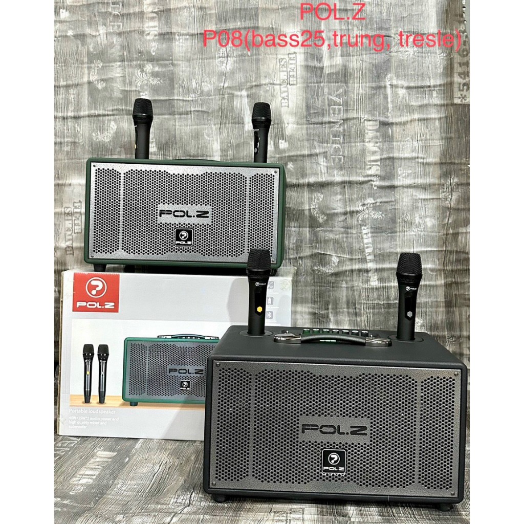 Loa Bluetooth POL.Z P08 (Bass 25cm, Kèm 2 Micro Không Dây)