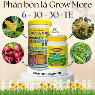 (Combo 2) Phân bón lá Growmore 6-30-30 + TE (100g), kích thích ra hoa và nuôi trái (Vườn Sài Gòn)