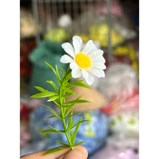 10 điểm cúc tana - Hoa giả nhựa trang trí