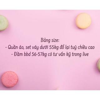 D30 Đầm somi suông dài