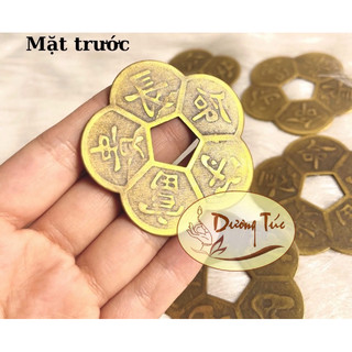Đồng Tiền Hoa Mai May Mắn
