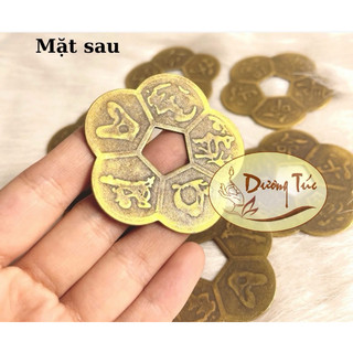 Đồng Tiền Hoa Mai May Mắn