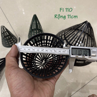 Hom bẫy lươn