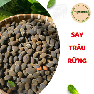 1 KG TRÁI SAY, SAY TRÂU, quả to, bột nhiều - TIỆM RỪNG
