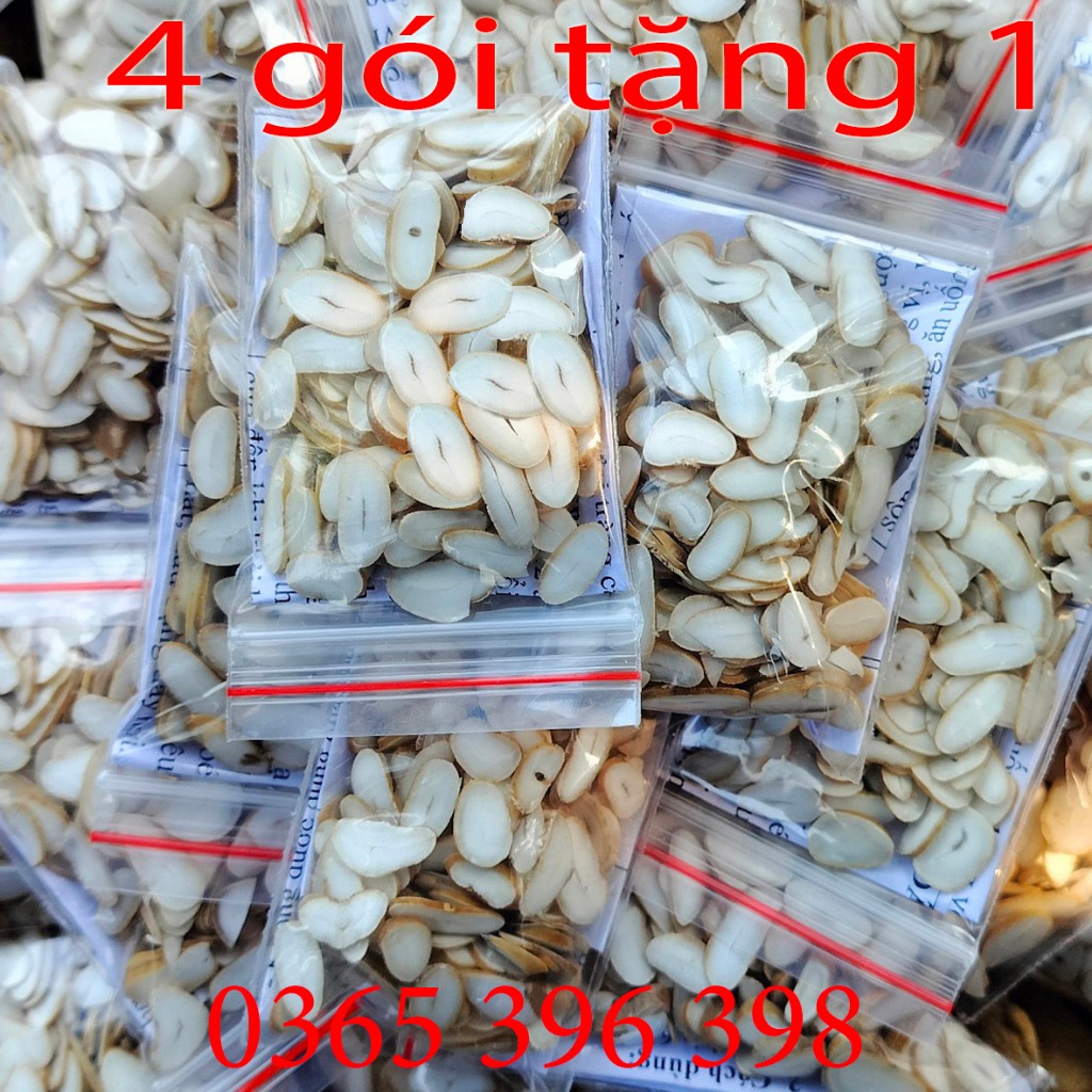 Hạt sang trắng hạt sành dạ dày đại tràng, hp của người dân tộc , hạt già ruật trắng loại 1