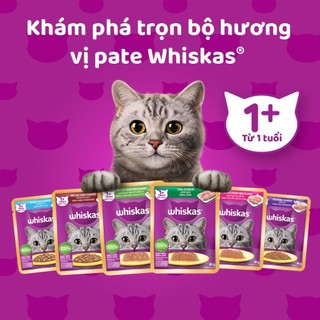 Súp pate whiskas dành cho mèo con và trưởng thành 80gr