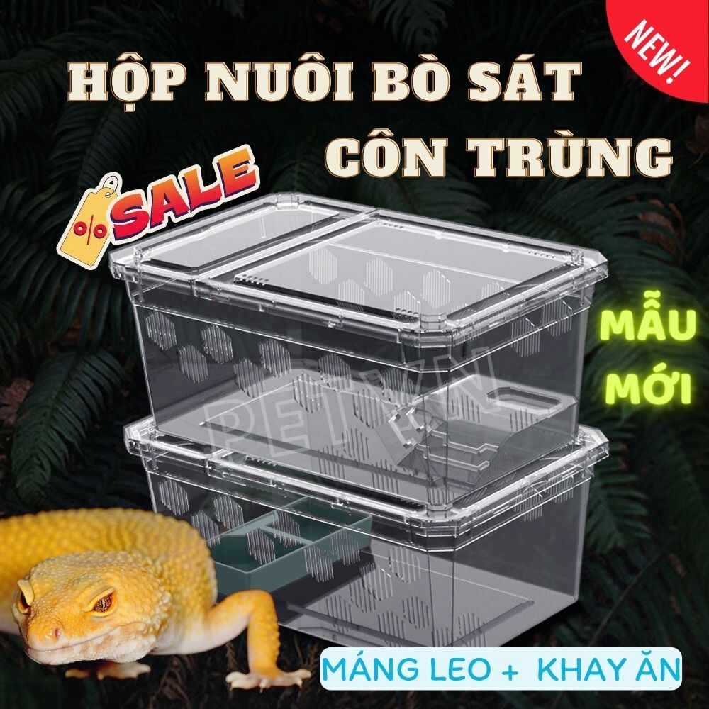 HỘP NUÔI CÓ MÁNG ĂN NUÔI CÔN TRÙNG TARANTULA NHỆN ẾCH PACMAN BÒ CẠP SLING NHỎ HỘP TÁCH BẦY