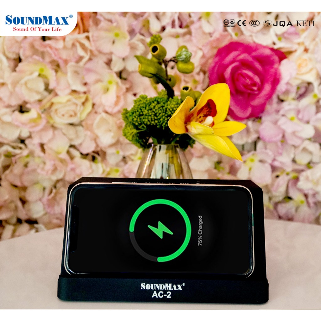 Loa nghe nhạc Soundmax AC-2