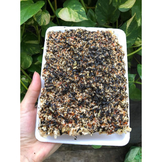 Cơm cháy chà bông chay Diệp Khang