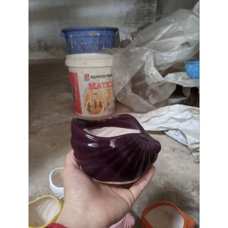 Chậu sứ hình Ốc