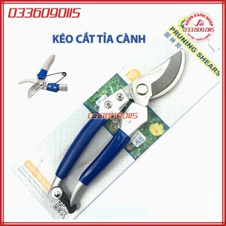 Kéo cắt tỉa cành cây