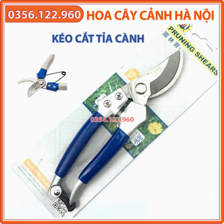 Kéo cắt tỉa cành cây