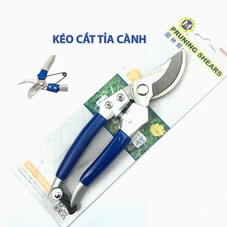 Kéo cắt tỉa cành cây
