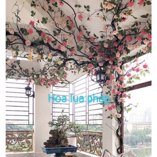  Dây hoa giả dây leo rừng cổ - DÂY HOA HỒNG TRÀ PHÁP CAO CẤP 1m7 