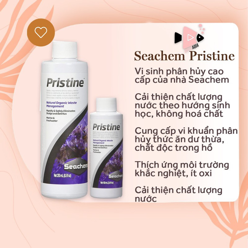 Seachem Pristine vi sinh phân hủy phân cá và chất hữu cơ