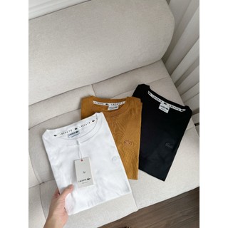 SET 3 ÁO ZIP CỔ TRÒN