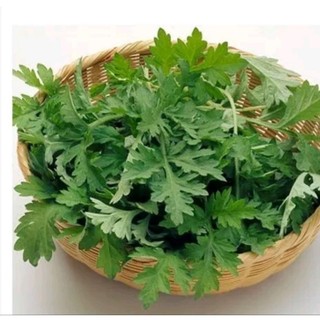 1 Kg Ngải  cứu khô ( khô, thơm, sạch )