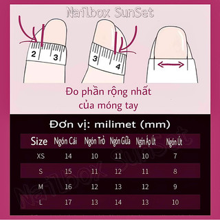 Nailbox Thiết Kế